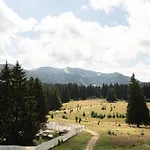 Avalanche