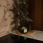 شقة Avalanche