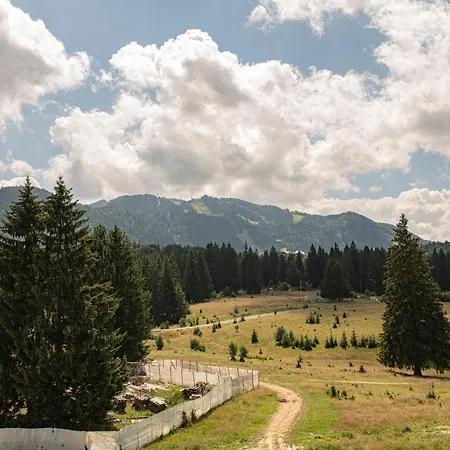 Avalanche Apartment *