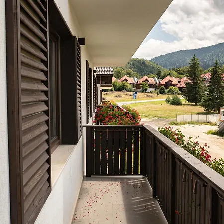 Avalanche * Poiana Brasov