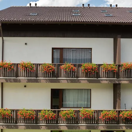 Avalanche * Poiana Brașov