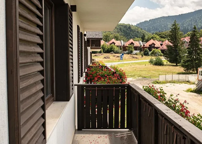 Avalanche * 波亚纳布拉索夫