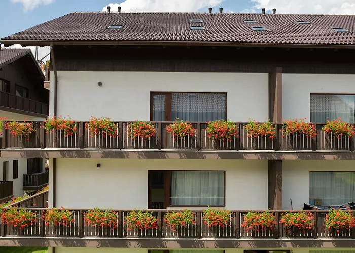 Avalanche * Poiana Brasov