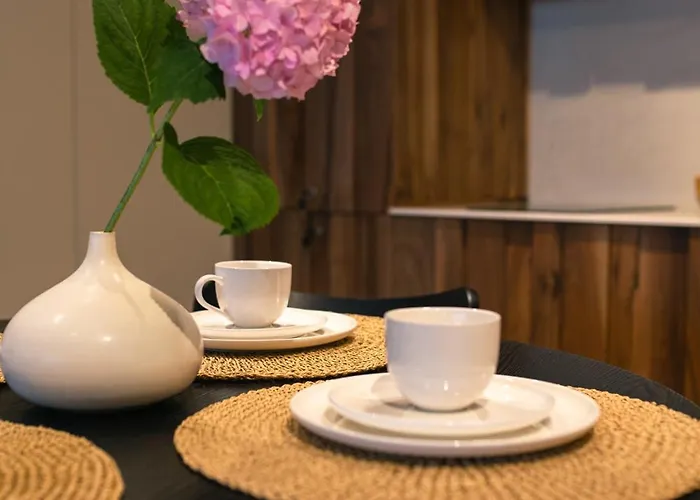 Avalanche * 波亚纳布拉索夫