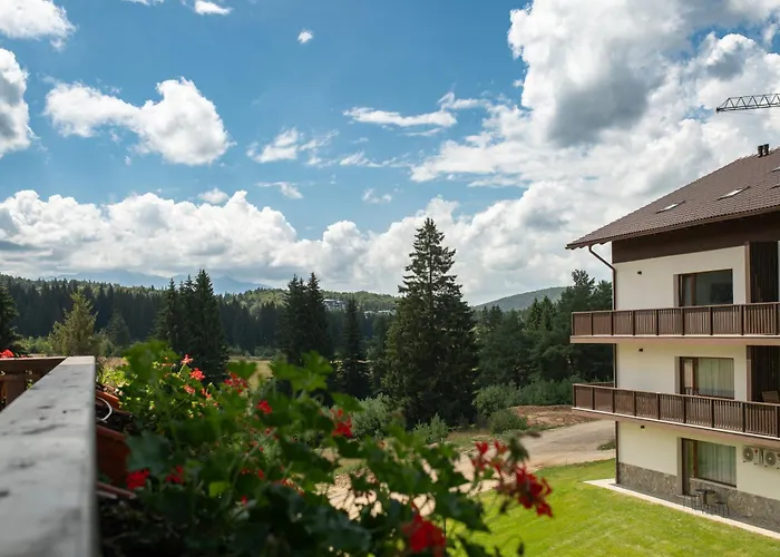 Avalanche * Poiana Brasov